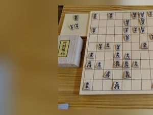 盤の左が切れた写真